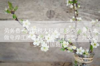 劳务费一般纳税人税率是多少？去日本做电焊工能拿多少钱一月需要一共交纳多少出国费用？
