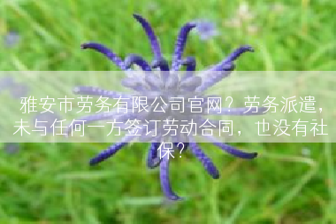 雅安市劳务有限公司官网？劳务派遣，未与任何一方签订劳动合同，也没有社保？