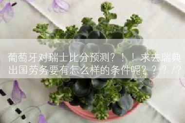葡萄牙对瑞士比分预测？！！求去瑞典出国劳务要有怎么样的条件呢？？？/？