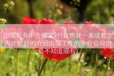 出国劳务中介哪家好(我想找一家成都市内比较好的介绍出国工作的中介公司但是不知道哪有)