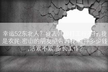 幸运52东北人？我去韩国打工行不行,我是农民.密山的朋友望告诉我.能挣多少钱,活累不累.多长工作？