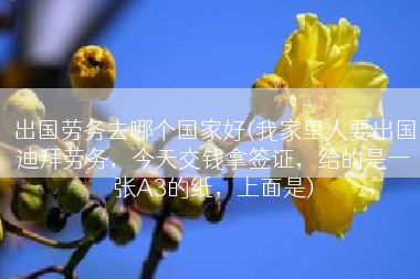 出国劳务去哪个国家好(我家里人要出国迪拜劳务，今天交钱拿签证，给的是一张A3的纸，上面是)