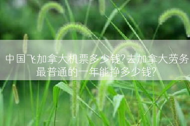 中国飞加拿大机票多少钱?去加拿大劳务最普通的一年能挣多少钱?