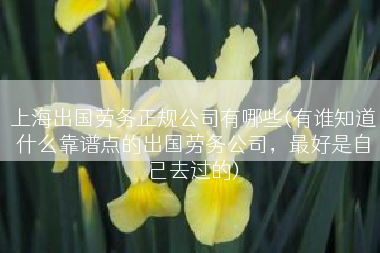 上海出国劳务正规公司有哪些(有谁知道什么靠谱点的出国劳务公司，最好是自己去过的)