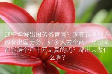 辽宁坤诚出国劳务官网？现在很多地方都有出国劳务，好多人去个两三年回来都能赚个几十万是真的吗？都出去做什么啊？