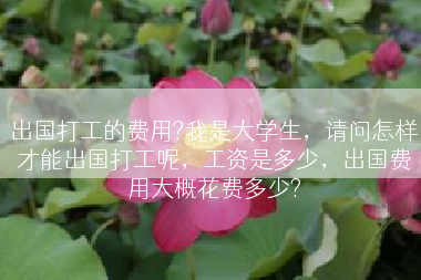 出国打工的费用?我是大学生，请问怎样才能出国打工呢，工资是多少，出国费用大概花费多少?