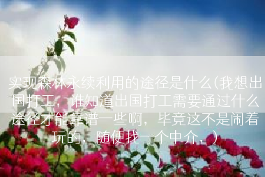 实现森林永续利用的途径是什么(我想出国打工，谁知道出国打工需要通过什么途径才能靠谱一些啊，毕竟这不是闹着玩的，随便找一个中介，)
