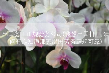 出国务工正规劳务公司(我想出国打工,请问有谁知道那家出国劳务正规可靠)