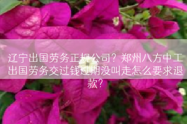 辽宁出国劳务正规公司？郑州八方中工出国劳务交过钱过期没叫走怎么要求退款？