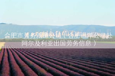 合肥市劳务派遣公司（合肥远洋公司赴阿尔及利亚出国劳务信息）