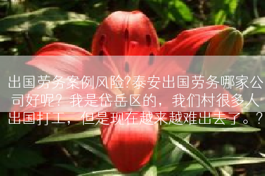 出国劳务案例风险?泰安出国劳务哪家公司好呢？我是岱岳区的，我们村很多人出国打工，但是现在越来越难出去了。?