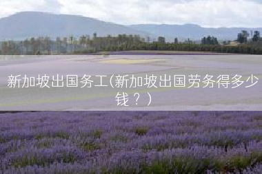新加坡出国务工(新加坡出国劳务得多少钱 ？)