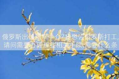 俄罗斯出国留学中介?我想去俄罗斯打工,请问需要办理那些相关手续,需要什么条件?