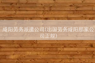 咸阳劳务派遣公司(出国劳务咸阳那家公司正规)