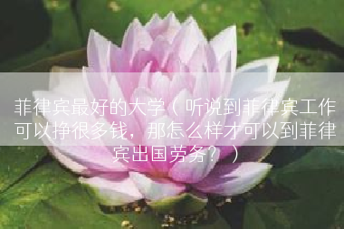 菲律宾最好的大学（听说到菲律宾工作可以挣很多钱，那怎么样才可以到菲律宾出国劳务？）