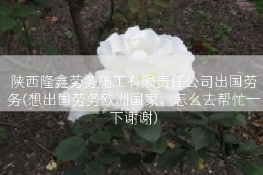 陕西隆鑫劳务施工有限责任公司出国劳务(想出国劳务欧洲国家，怎么去帮忙一下谢谢)