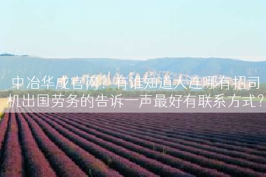 中冶华成官网？有谁知道大连哪有招司机出国劳务的告诉一声最好有联系方式？
