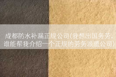 成都防水补漏正规公司(我想出国务劳，谁能帮我介绍一个正规的劳务派遣公司)