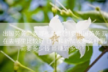 出国劳务需要哪些条件(想要出国劳务 现在去哪里比较好 日本和新加坡怎么样啊 需要多少钱 能赚到多少？)