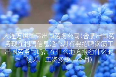 大连万国国际出国劳务公司(合肥出国劳务现在招聘信息这个月有要招聘钢筋工出国劳务的吗，在什么地方报名什么时候去，工资多少一个月)