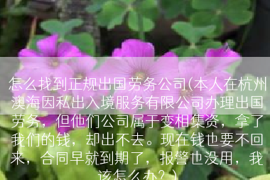 怎么找到正规出国劳务公司(本人在杭州澳海因私出入境服务有限公司办理出国劳务，但他们公司属于变相集资，拿了我们的钱，却出不去。现在钱也要不回来，合同早就到期了，报警也没用，我该怎么办？)