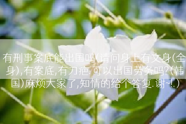 有刑事案底能出国吗(请问身上有文身(全身),有案底,有刀疤.可以出国劳务吗?(韩国)麻烦大家了,知情的给个答复.谢~!.)