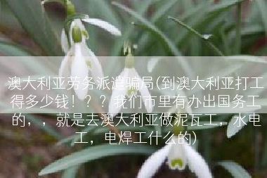澳大利亚劳务派遣骗局(到澳大利亚打工得多少钱！？？我们市里有办出国务工的，，就是去澳大利亚做泥瓦工，水电工，电焊工什么的)