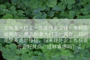 去加拿大打工一年能挣多少钱？本科毕业两年，想去加拿大打工一两年，目的是学英语加挣钱，回来找外企工作应该也会好找点，这样靠谱吗？