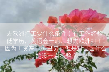 去欧洲打工要什么条件（有工作经验，低学历，英语会一点，想去欧洲打工，因为工资高，家里穷。但是对出国什么的没一点经验）