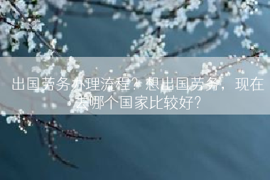 出国劳务办理流程？想出国劳务，现在去哪个国家比较好？