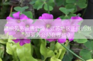 赣榆劳务派遣公司（江苏地区正规的出国劳务公司有哪些）