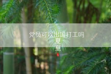 党员可以出国打工吗
