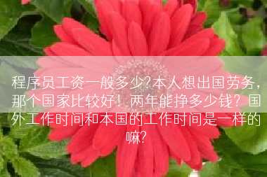 程序员工资一般多少?本人想出国劳务，那个国家比较好！两年能挣多少钱？国外工作时间和本国的工作时间是一样的嘛?
