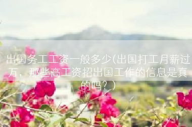 出国务工工资一般多少(出国打工月薪过万，那些高工资招出国工作的信息是真的吗？)