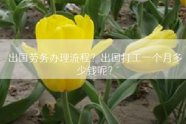 出国劳务办理流程？出国打工一个月多少钱呢？