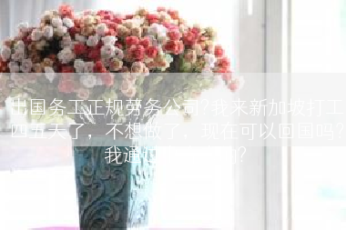 出国务工正规劳务公司?我来新加坡打工四五天了，不想做了，现在可以回国吗？我通过中介来的?