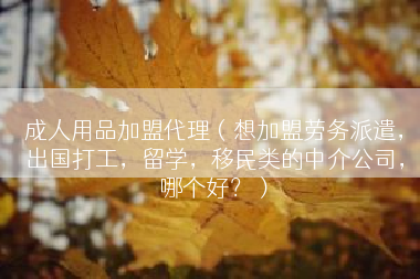 成人用品加盟代理（想加盟劳务派遣，出国打工，留学，移民类的中介公司，哪个好？）