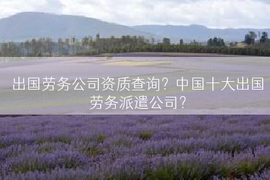 出国劳务公司资质查询？中国十大出国劳务派遣公司？