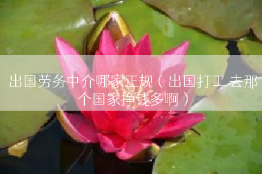 出国劳务中介哪家正规（出国打工 去那个国家挣钱多啊）