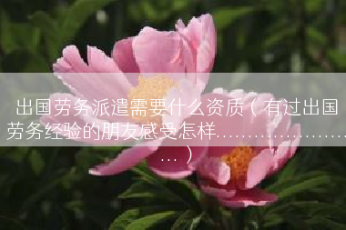 出国劳务派遣需要什么资质（有过出国劳务经验的朋友感受怎样........................）