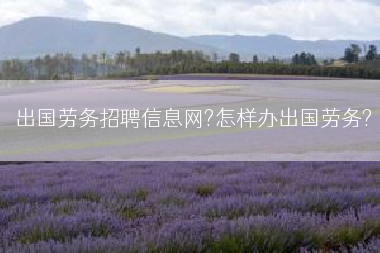 出国劳务招聘信息网?怎样办出国劳务?