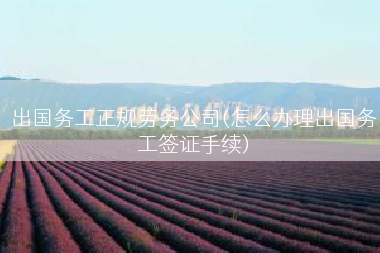 出国务工正规劳务公司(怎么办理出国务工签证手续)