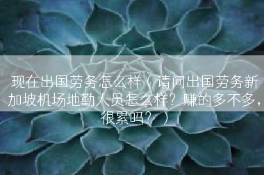 现在出国劳务怎么样（请问出国劳务新加坡机场地勤人员怎么样？赚的多不多，很累吗？）