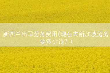 新西兰出国劳务费用(现在去新加坡劳务要多少钱？)