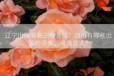 辽宁出国劳务正规公司？四川有哪些出国的劳务公司需要人？