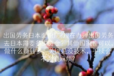 出国劳务日本面粉厂?现在办理出国劳务去日本需要多少资金？其他国家也可以，做什么赚钱多，关键是没技术，手续会不会很麻烦?