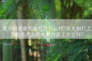 意大利普睿司曼电线怎么样?意大利打工工资情况去意大利打黑工怎么样?