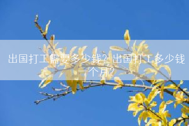 出国打工需要多少钱？出国打工多少钱一个月？