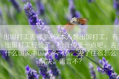 出国打工去哪里好?本人想出国打工，有出国打工经验了。给我传受一点吧。去什么国家中国人多一点，去了住宿怎么解决，语言不?