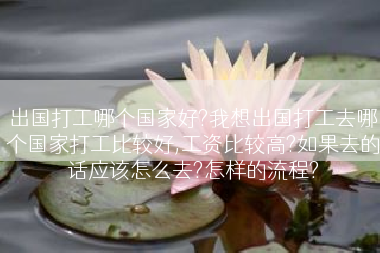 出国打工哪个国家好?我想出国打工去哪个国家打工比较好,工资比较高?如果去的话应该怎么去?怎样的流程?